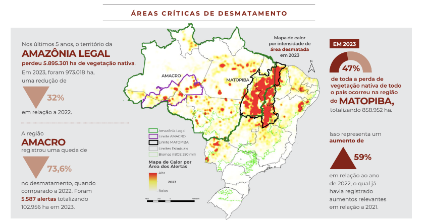 Mapa das áreas mais devastadas pelo avanço do desmatamento - Foto: MapBiomas 