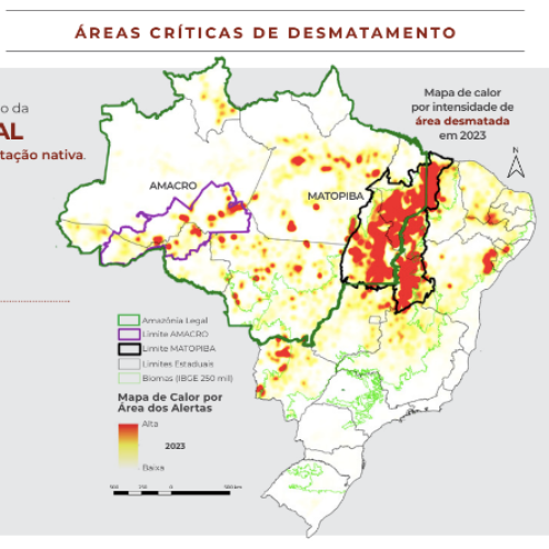 Mapa das áreas mais devastadas pelo avanço do desmatamento - Foto: MapBiomas 